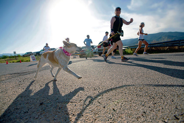 lilac festival 5k