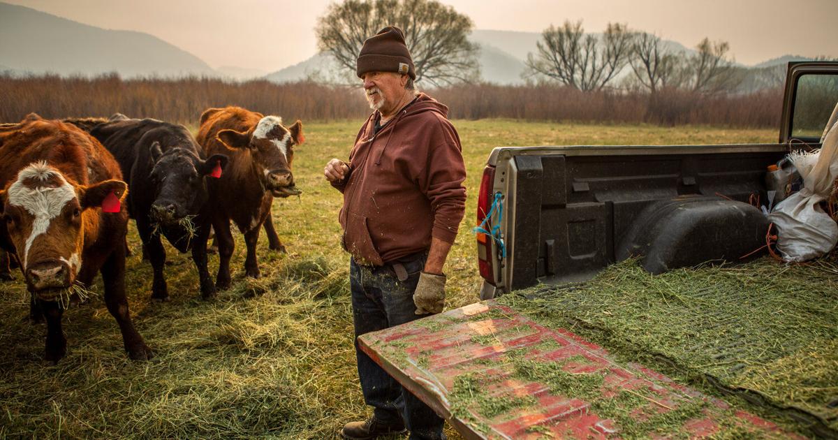 Angry Rancher Wildfire compounds rancher woes in another drought year | Environment ...