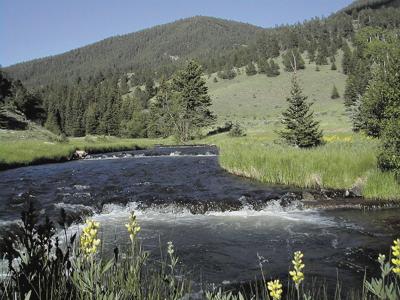 Selecting the best fishing opportunity - New Mexico Wildlife magazine