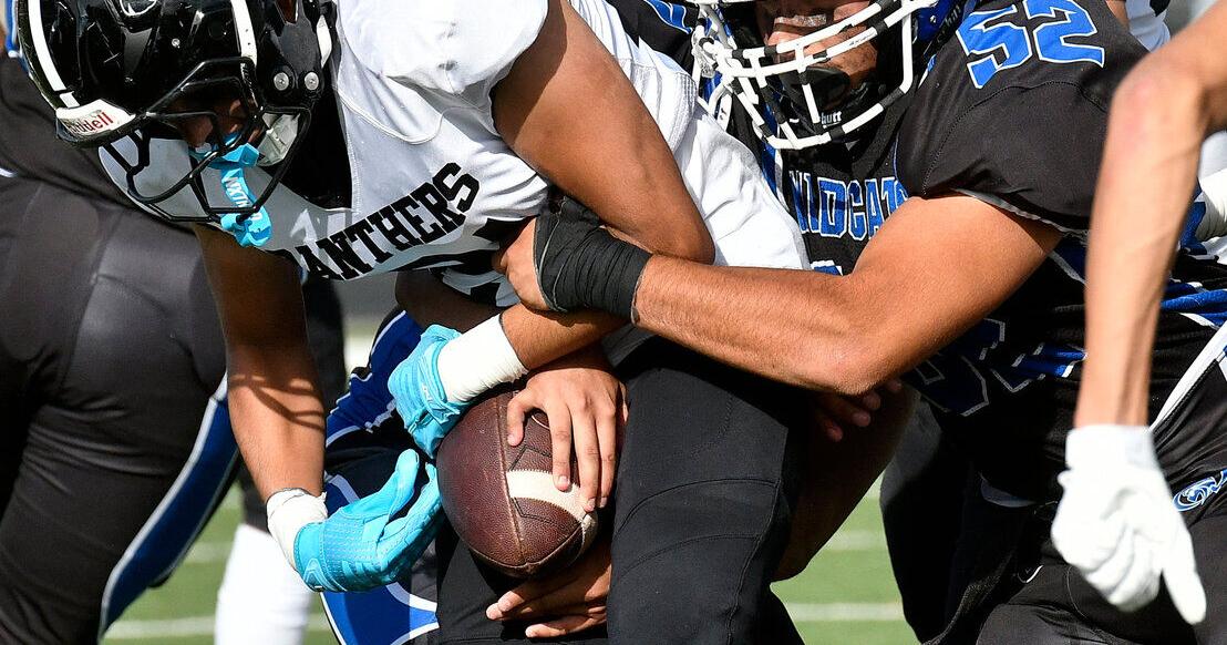 Panthers left Wildcats bloodied