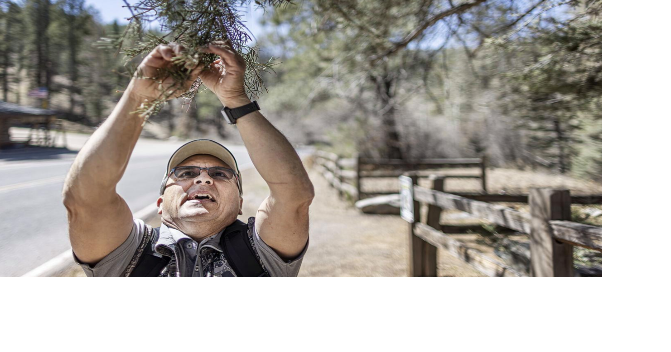 Read moreTree mortality in New Mexico tripled in 2025