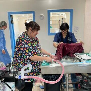 El Prado veterinary clinic scheduling appointment for free services - Vimarsana News