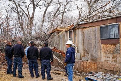 Wind blows tree onto El Prado mobile home