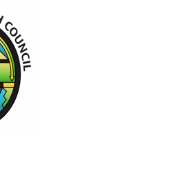 Indigenous Youth Council seeks members