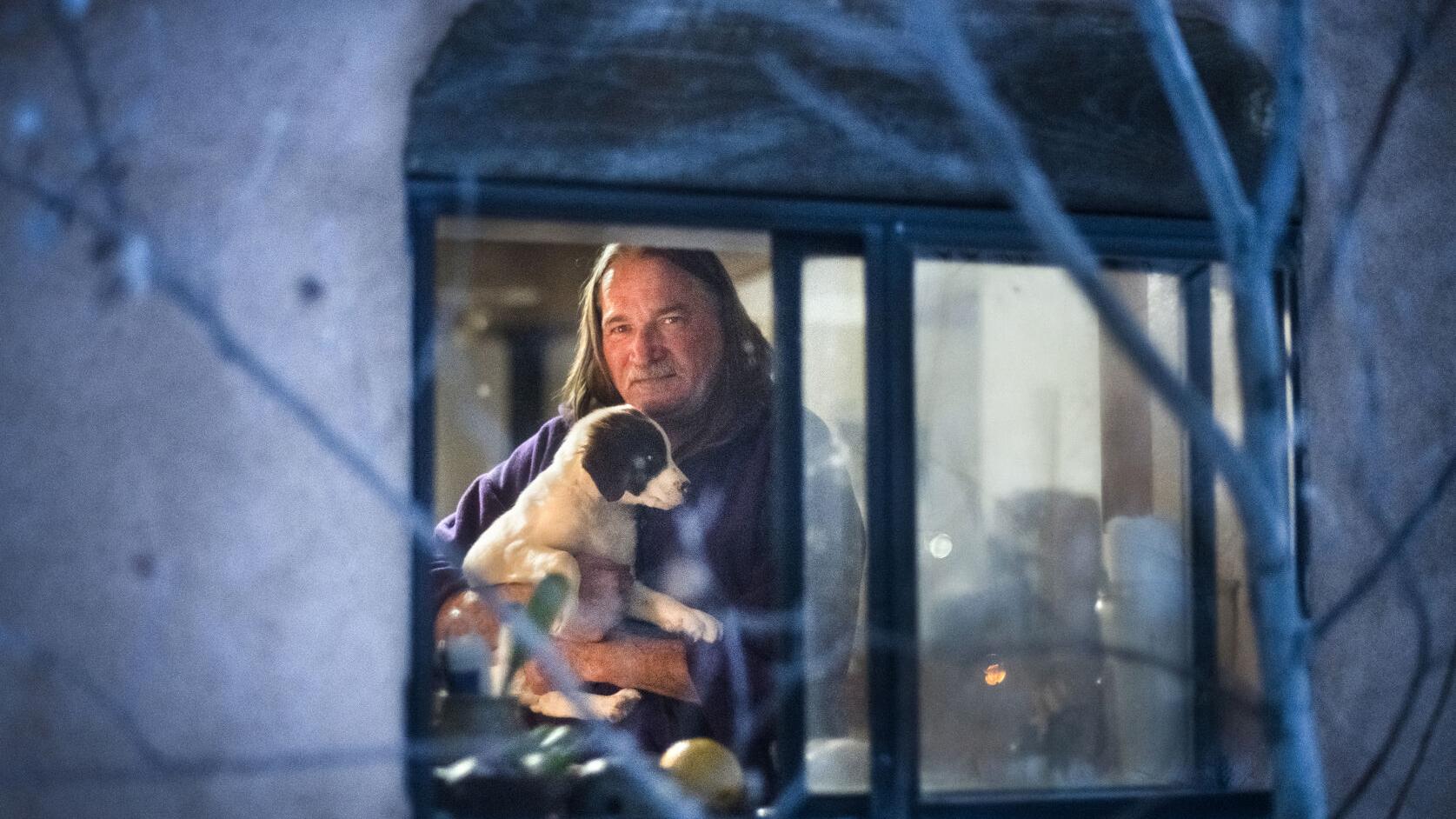 A home for the holidays - Vimarsana News