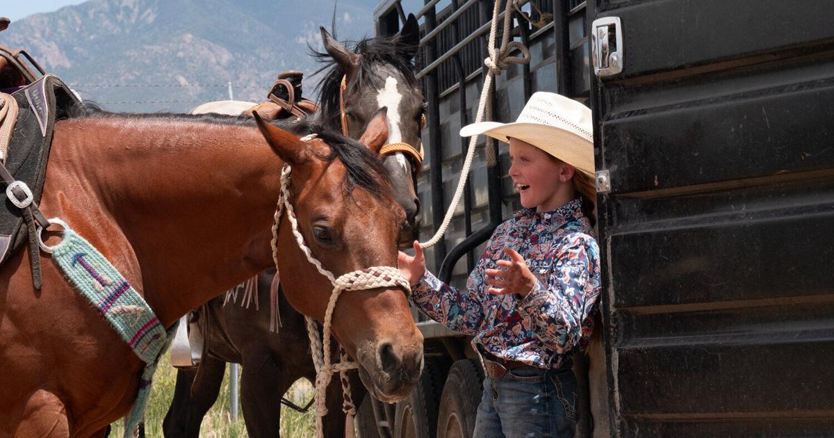 Rope 'em, tie 'em, brand 'em