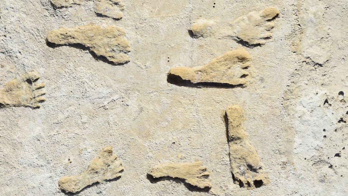 Antiguas huellas encontradas en White Sands |  Nuevo