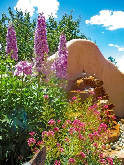 Tour Luscious Homes And Gardens In Taos Arts Taosnews Com