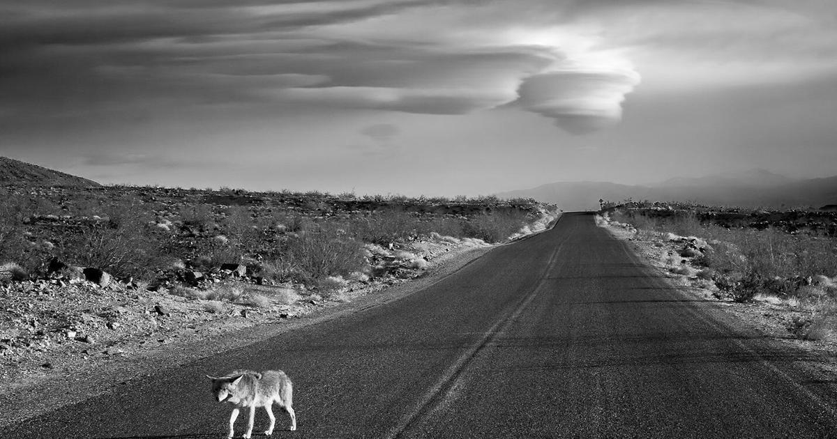 Photography of the American West | Arts Photography of the American West | Arts