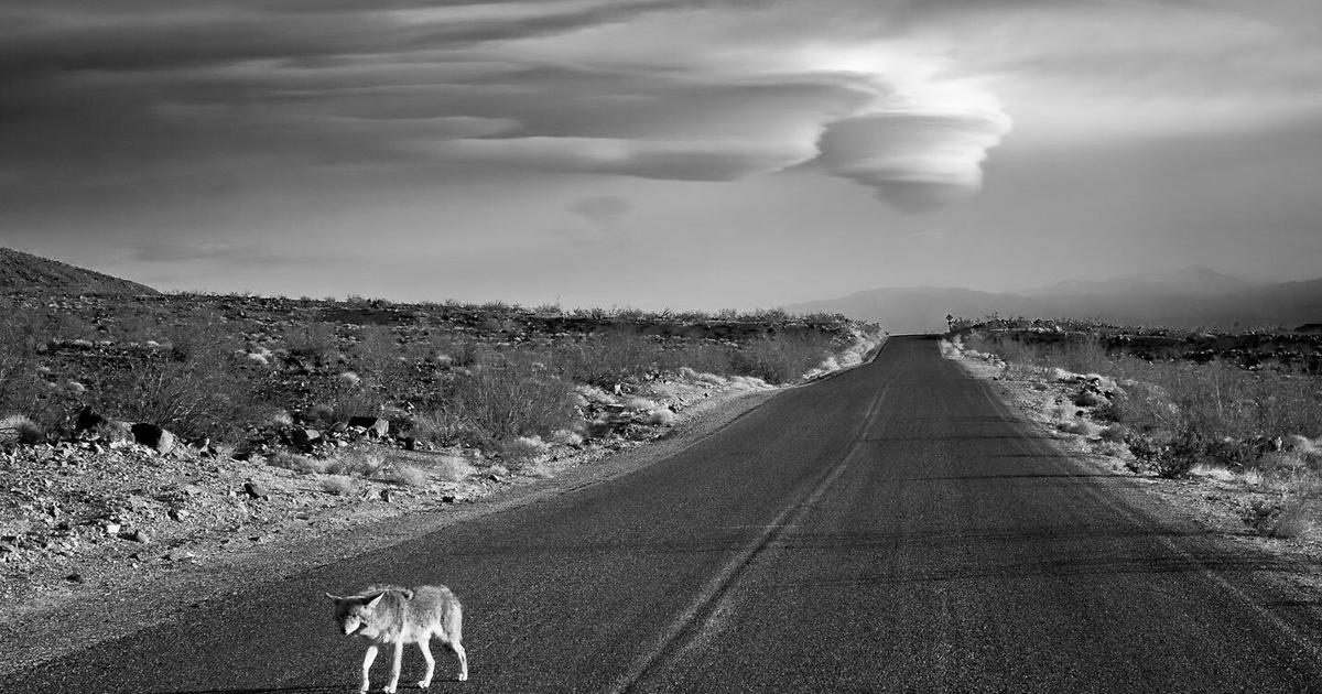 Photography of the American West | Arts