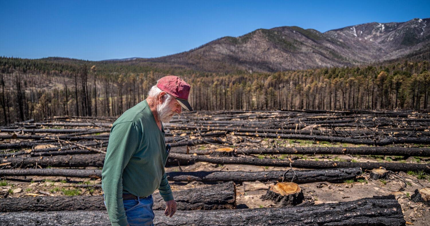 Two years in, wildfire recovery remains slow - Vimarsana News