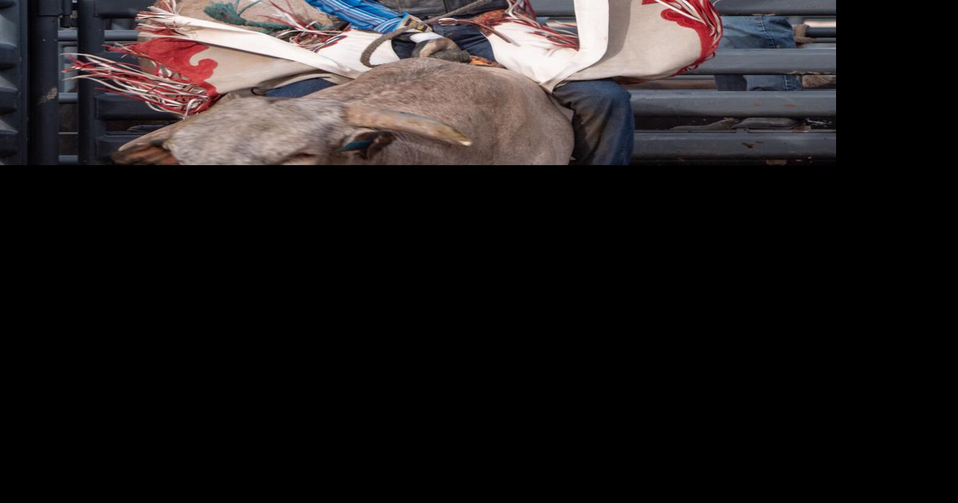 NM Bull Fiesta goes big | Community Sports | taosnews.com