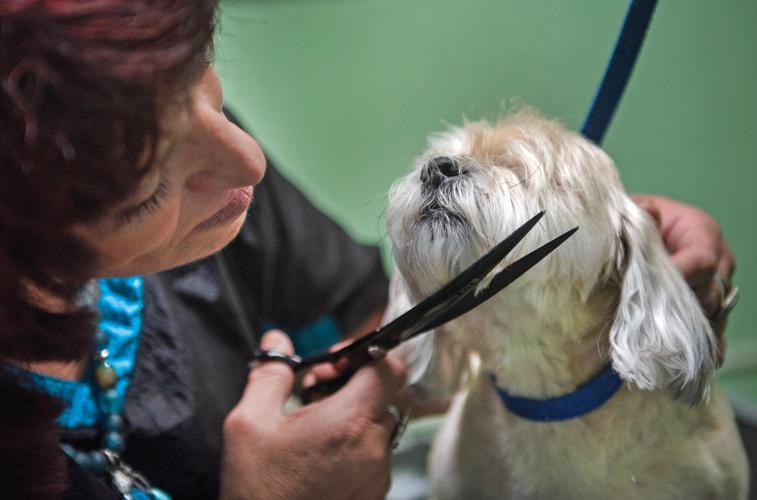 happy tails pet grooming reviews