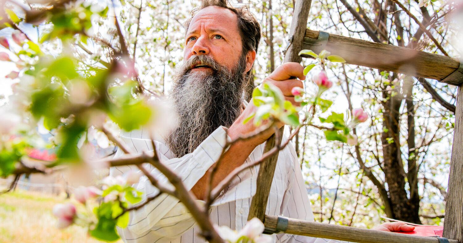 Apple growers, ag office mobilize against pest - Vimarsana News
