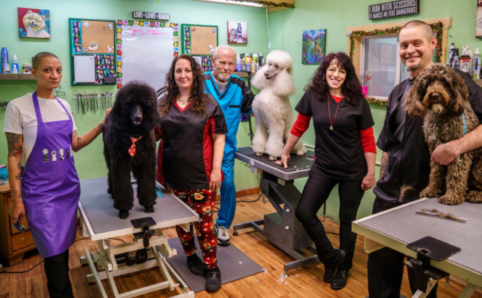 Super Groomers is All That and More Success Stories taosnews