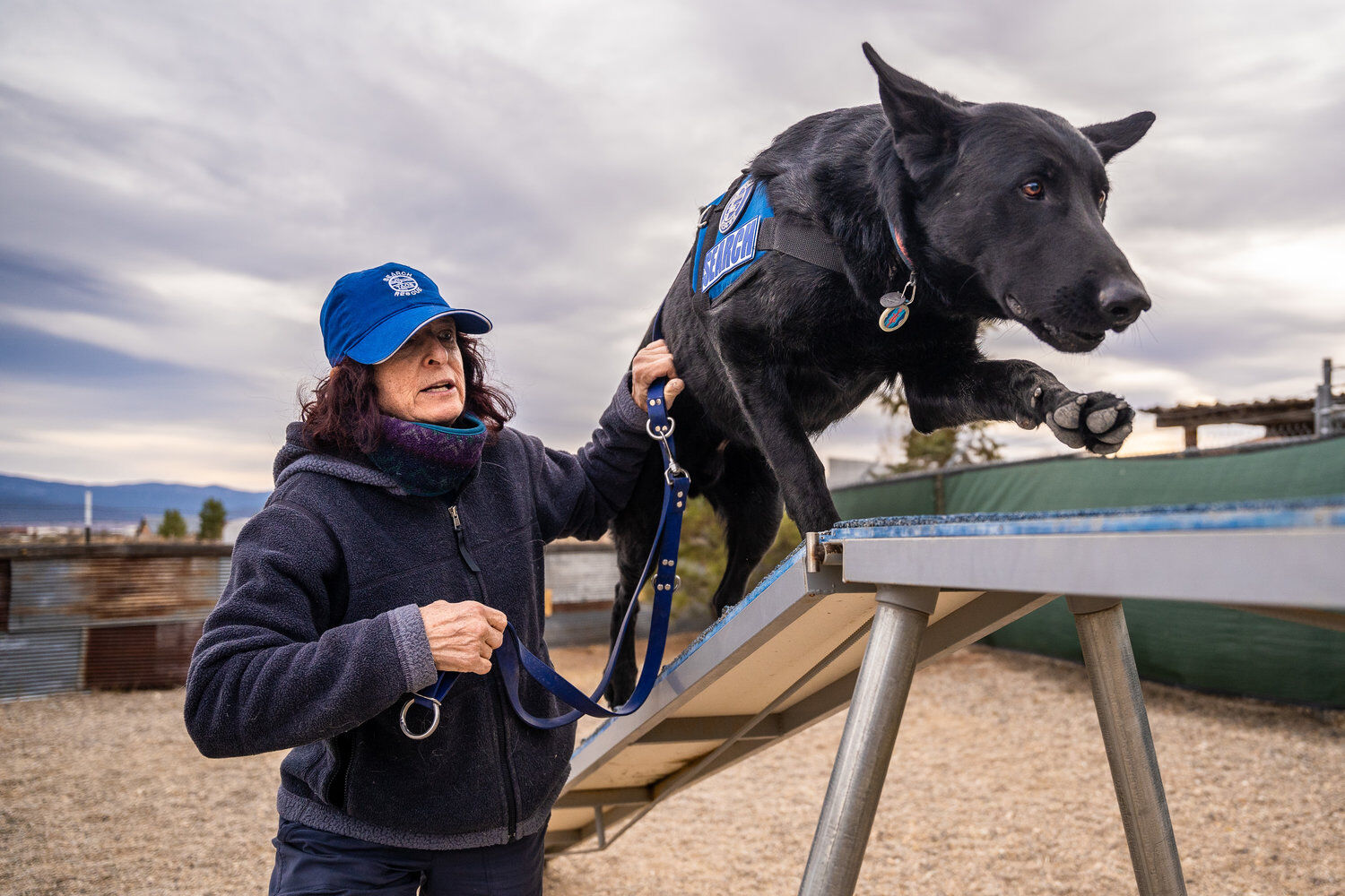 K9 strong clearance training center