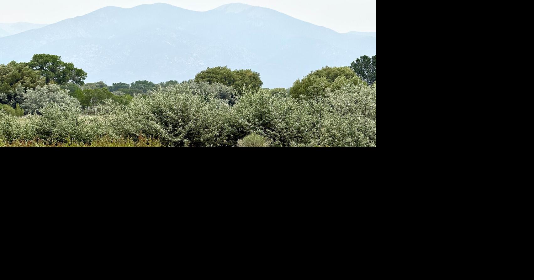 Wildfire Smoke Engulfs Taos Valley: Air Quality Concerns Rise in Northern New Mexico