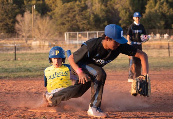Noah Rael Wildcats vs. Panthers: Round 1 | Baseball | taosnews.com
