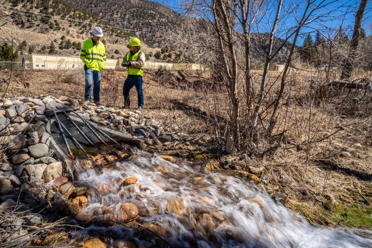 Questa molybdenum mine remediation approaches milestone Environment