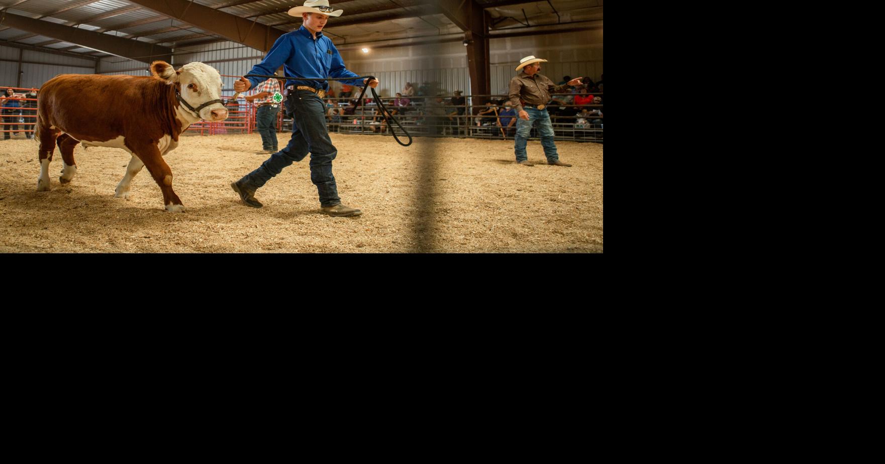 Photo Gallery: 2021 Annual Taos County Fair | Photo Galleries ...
