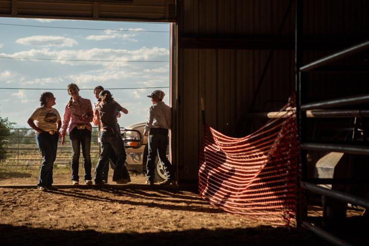 Photo Gallery 2021 Annual Taos County Fair Photo Galleries