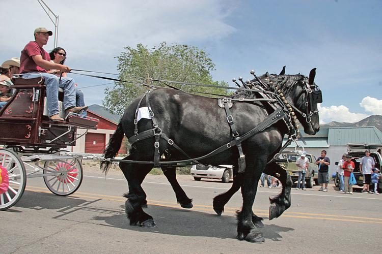 Success story Questa Fiestas return Success Stories