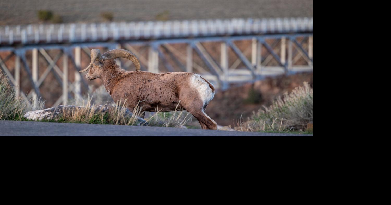 Nightly Gorge Bridge closures will have least impact