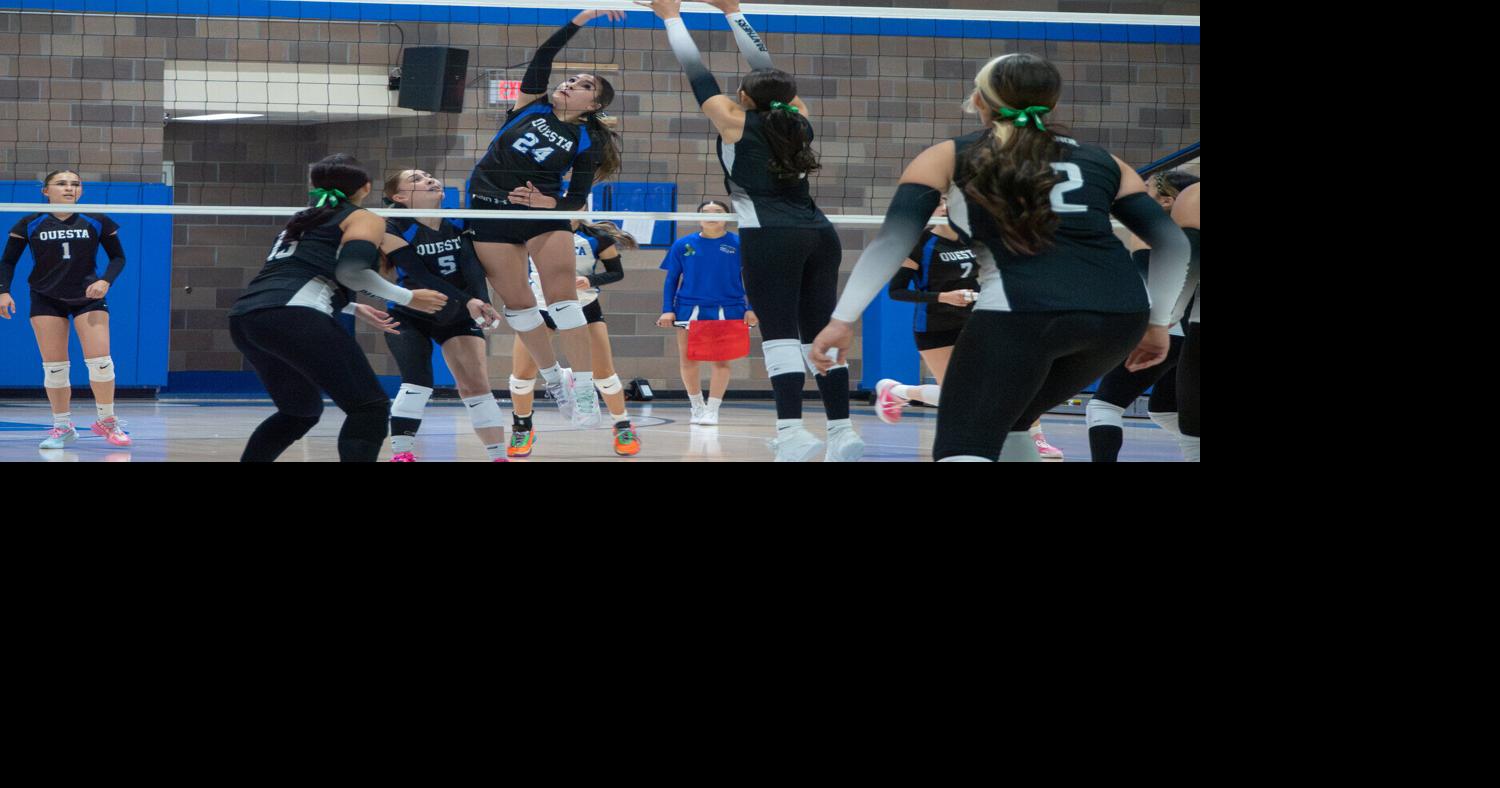 Smooth start for the Ladycats
