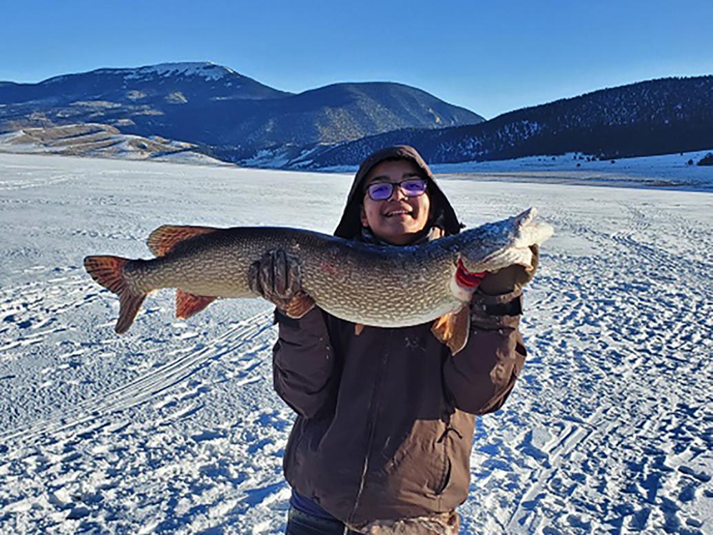 Trout Perch And Pike Fishing Good To Very Good At Eagle Nest Lake trout-perch-and-pike-fishing-good-to-very-good-at-eagle-nest-lake