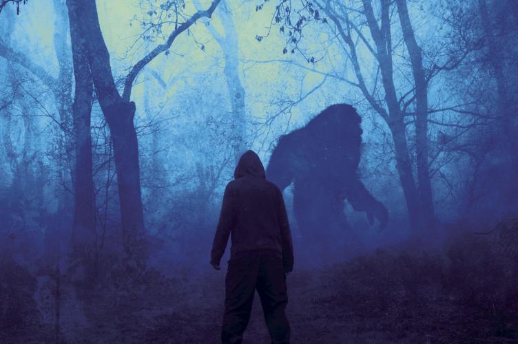 Is Bigfoot hiding in northwest New Mexico?