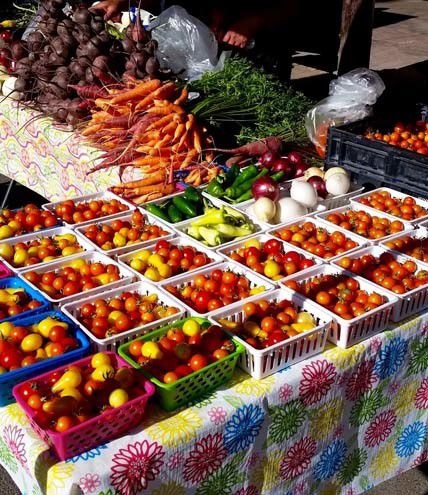 At the Store  Fresh Produce & Farm to Table