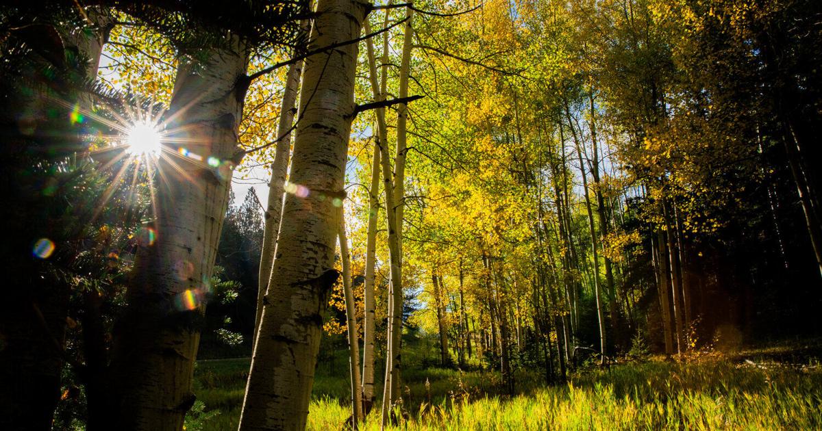 Getting into the rhythm of fall | Columns | taosnews.com