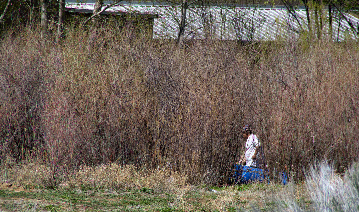 Couse Couse Pasture revitalization plan announced | Local News | taosnews.com