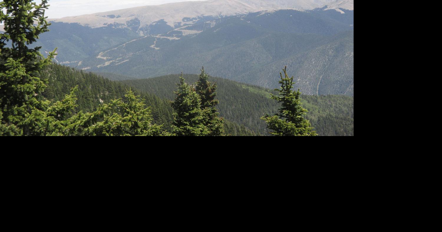 Lobo Peak Loop makes great summer hiking | La Vida | taosnews.com