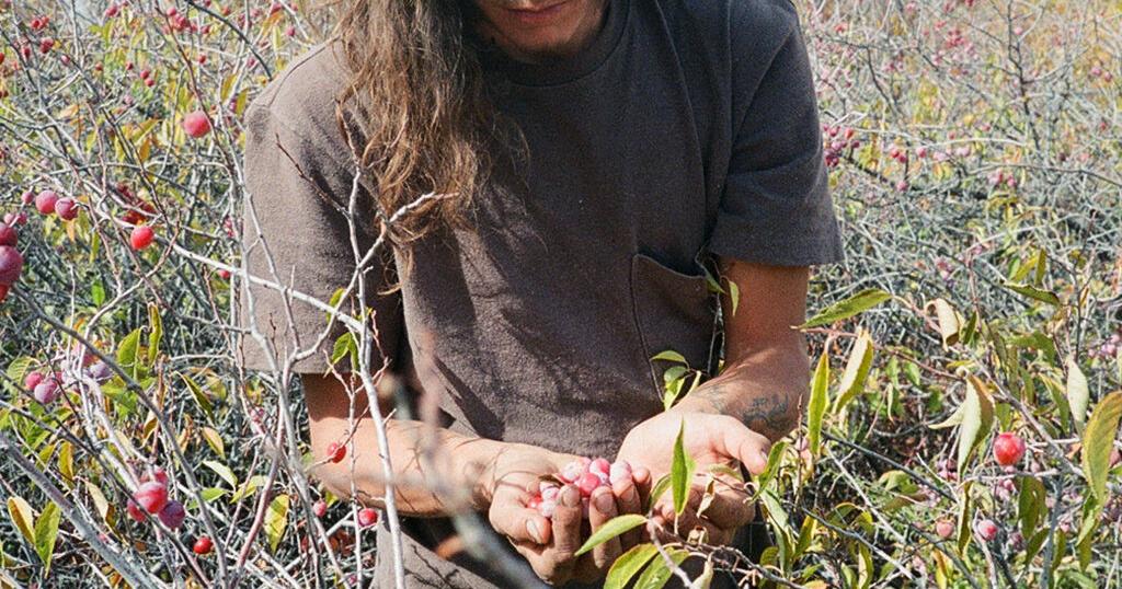 Chefs who Forage - Vimarsana News