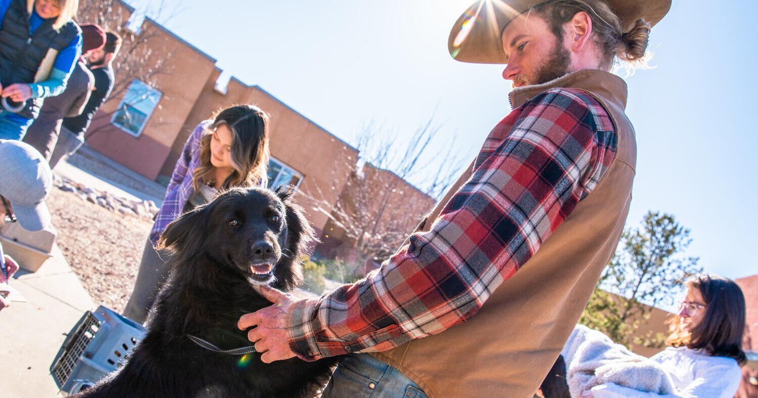 Hundreds attend free spay-neuter event - Vimarsana News
