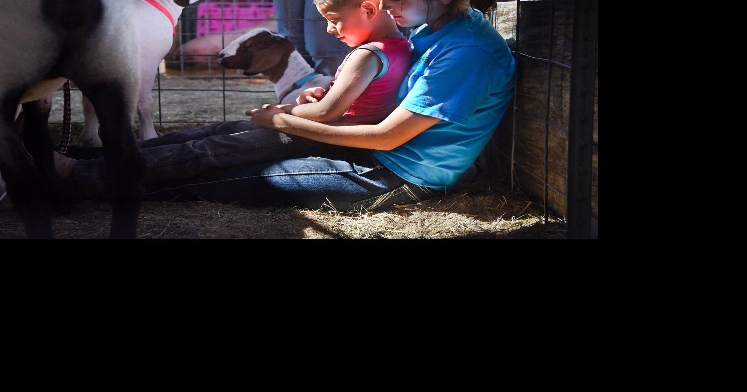 Photo Gallery Moments from the Taos County Fair Local News
