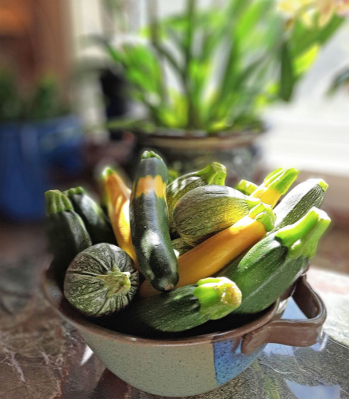 In the Kitchen Embrace your bumper crop of zucchini La Vida