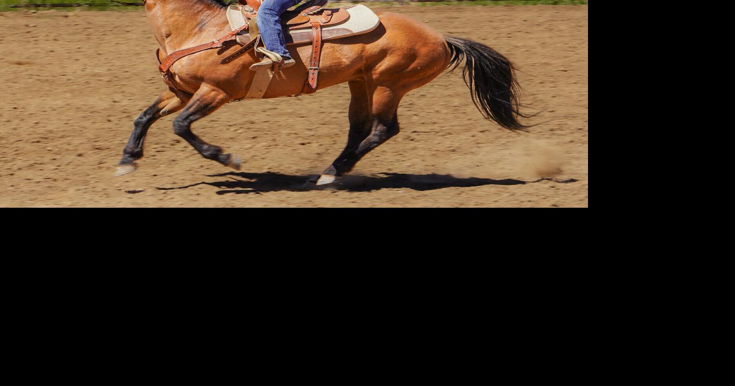 Gymkhana series kicks off at Taos Rodeo Grounds | Sports | taosnews.com