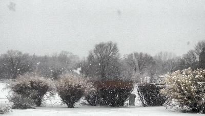 Winter Settles In Before New Year Local News Taosnews Com