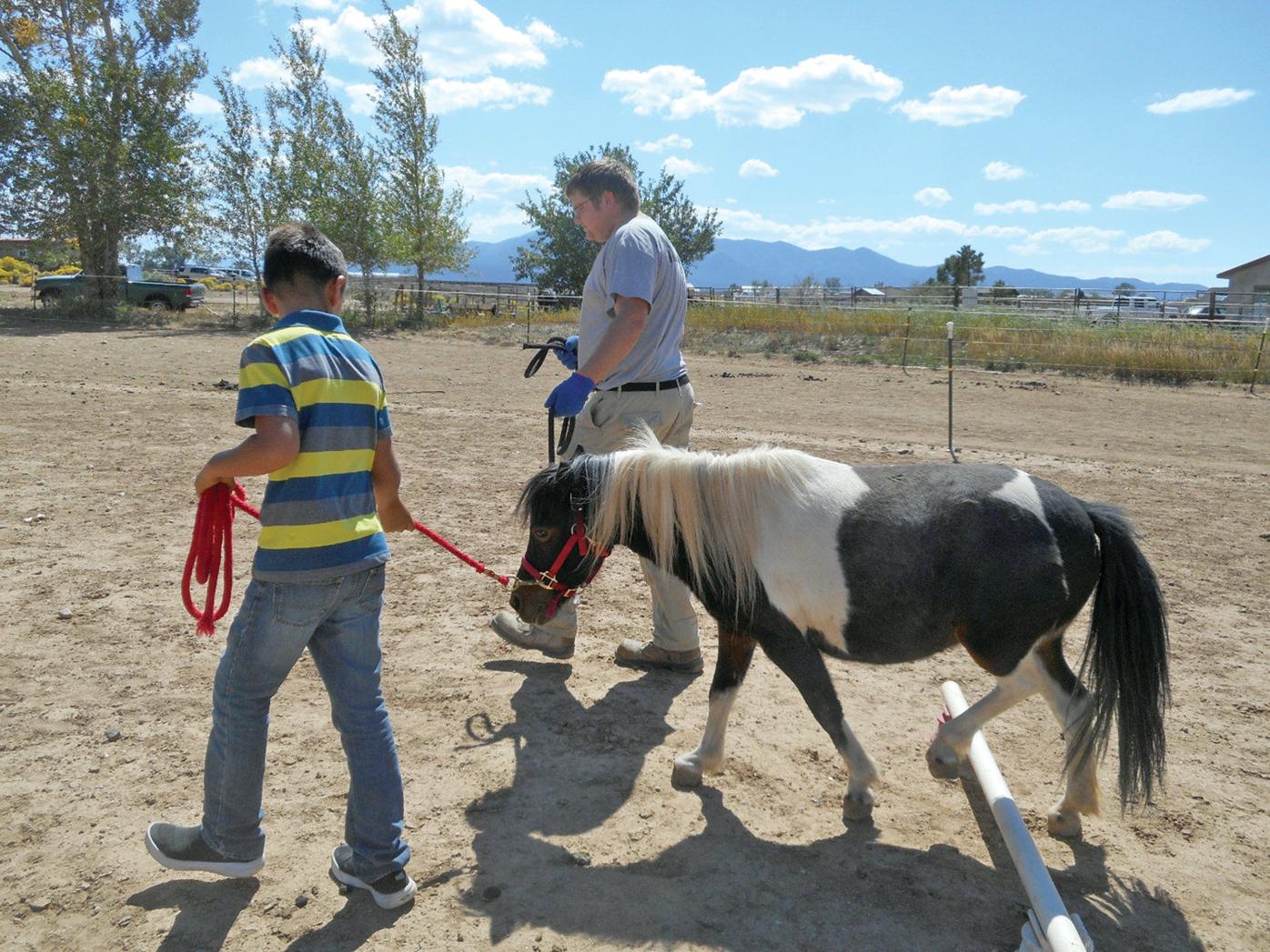 Help horses help people Social Services