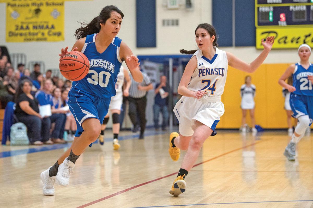 Questa Loses To Magdalena In First Round Of State But Has Much To