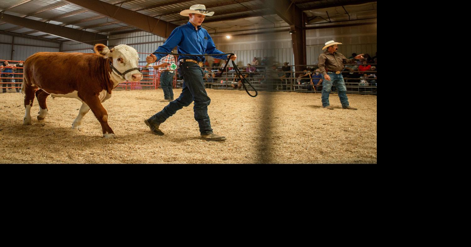Taos County Fair 2021 results Local News