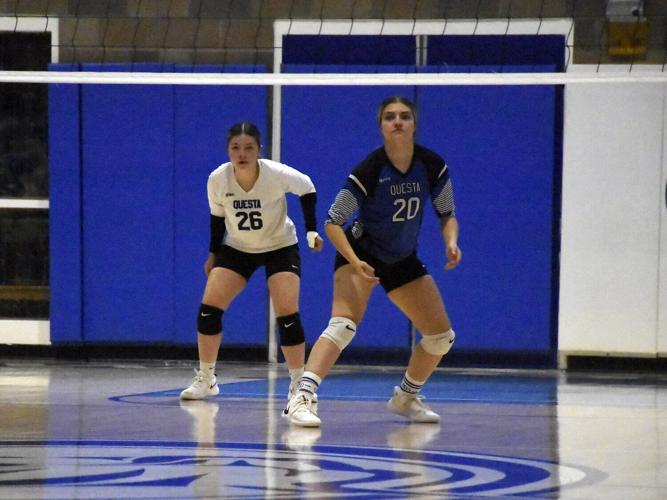 Questa volleyball finishes second in district 52A Volleyball