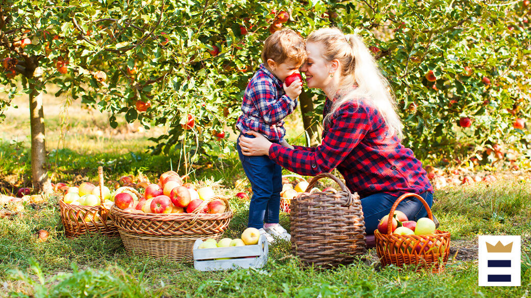 Make your apple-picking trip memorable for all the right reasons by researching the orchard before you go, making an appointment if you need to and showing up prepared.