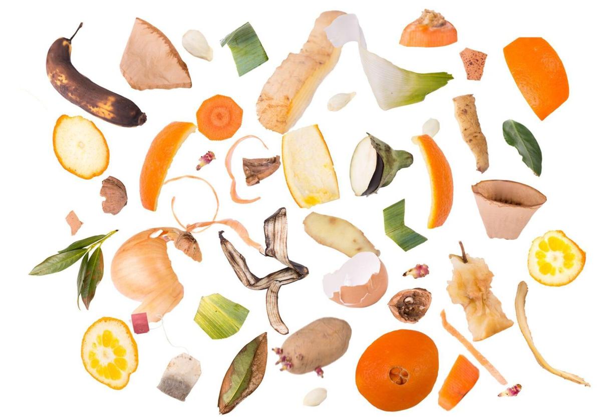 Stop Food Waste Day