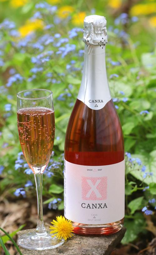 Canxa brut rose Cava is made from 100% pinot noir grapes.