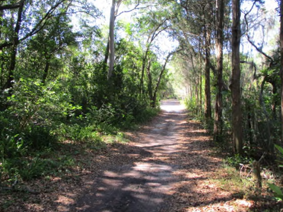 Dunedin Officials Residents Push To Preserve Property Slated For Housing North County Tbnweekly Com