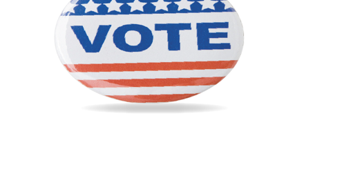 Pinellas County featuring plenty of contested municipal races - Vimarsana News