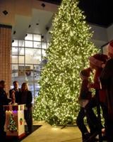 A bright Christmas in Oldsmar